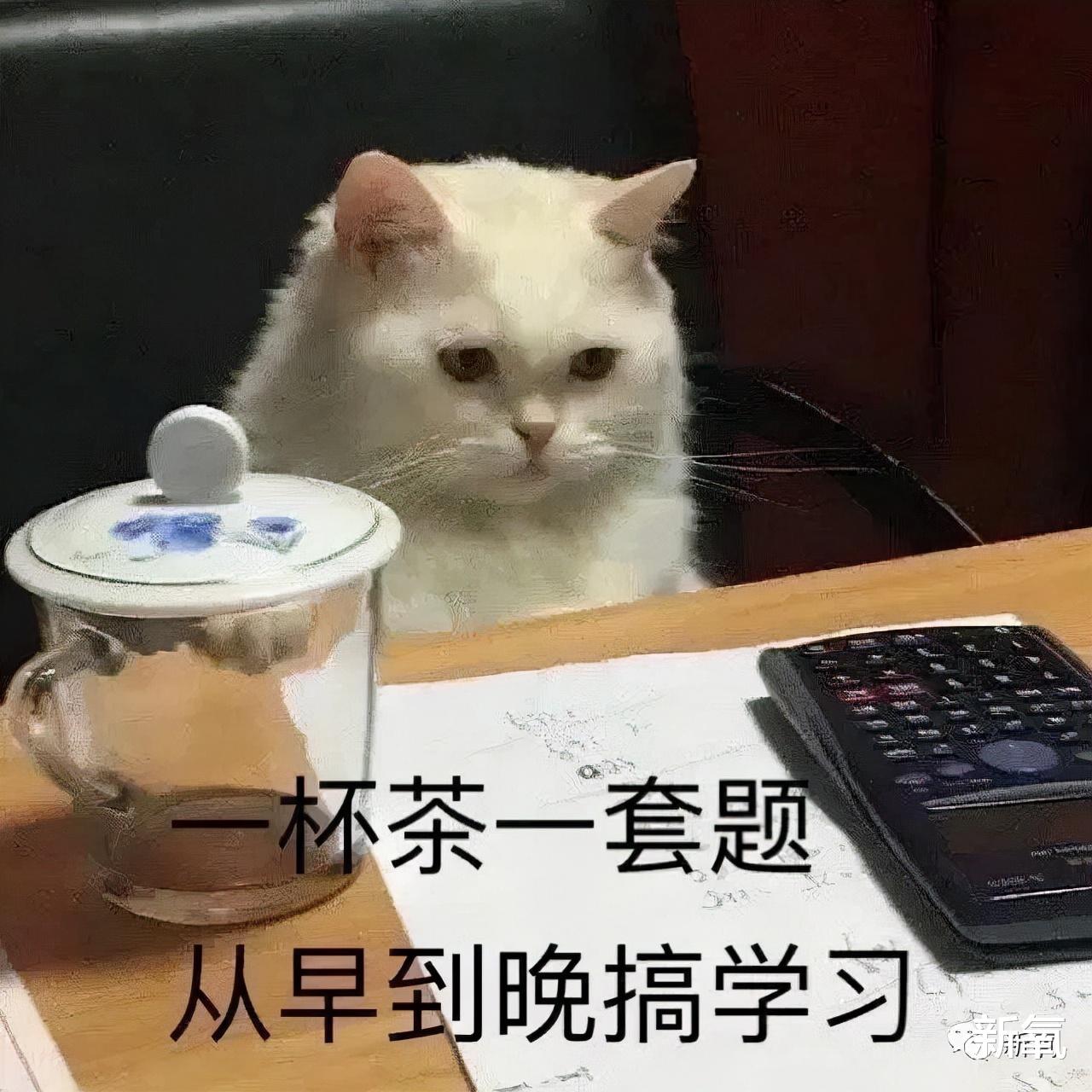张晋|现在的小花都好会啊！赵露思素颜也质感炸天了...