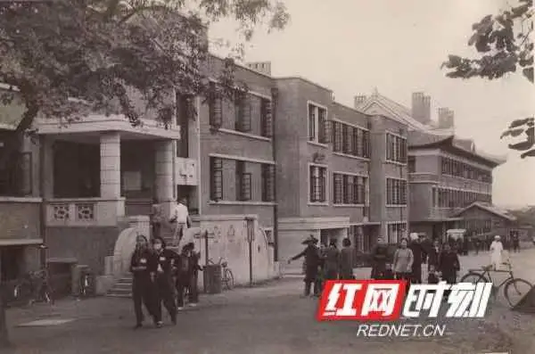 芒果都市 今天!向他们致敬!