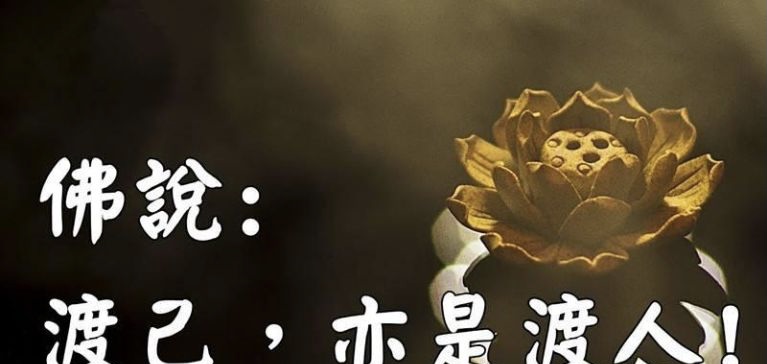 小飞侠熙熙|渡己也是一种格局！