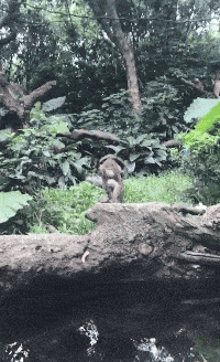 风云视角|搞笑GIF: 这样的赛车比赛，燃烧多少男人的内心