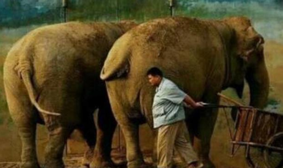 孙越|孙越的老婆罕见曝光，并不是于谦的前妻，长得像戴假发的岳云鹏