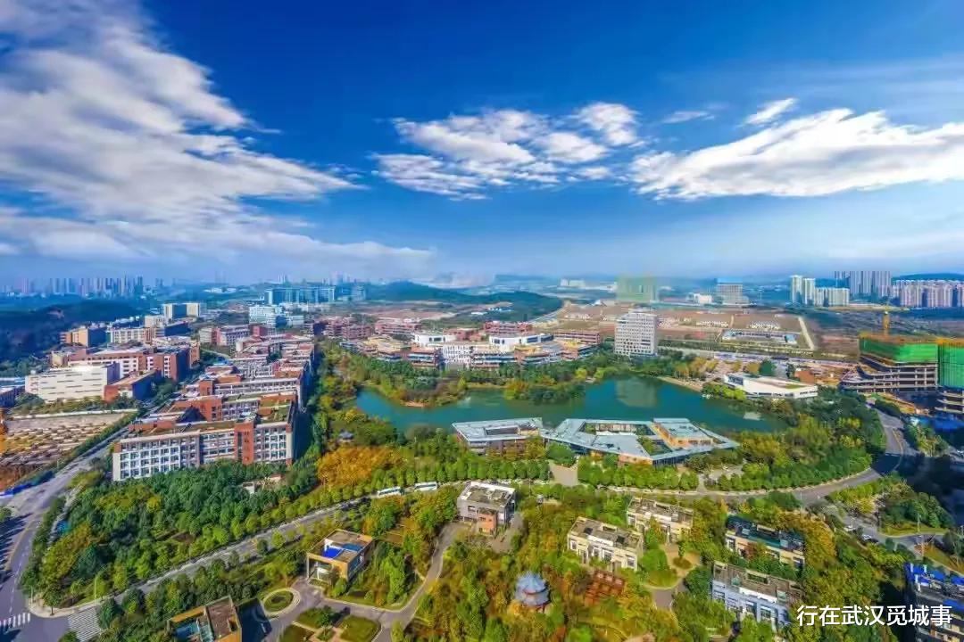 行在武汉觅城事 光谷，为什么能吸引那么多年轻人？