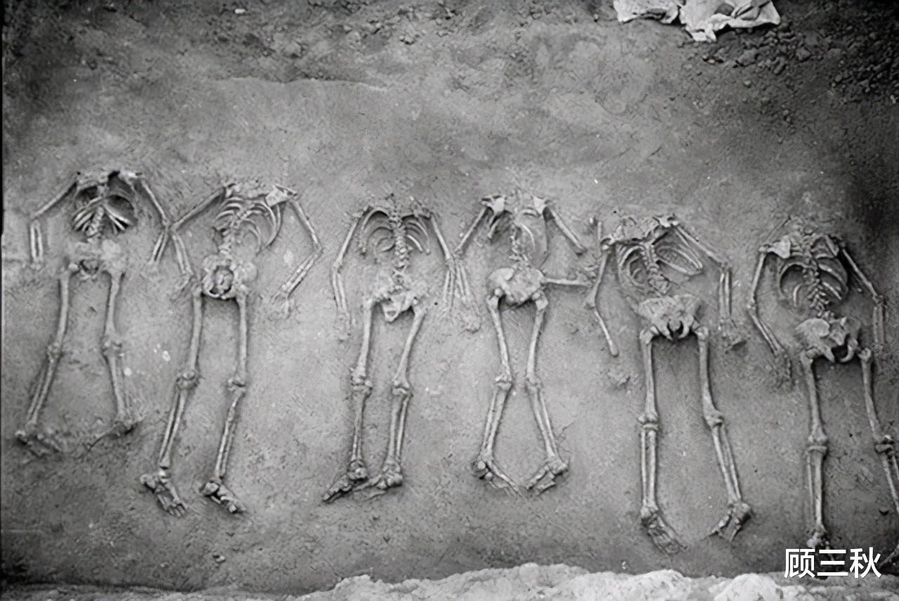 基因 殷墟人种DNA之谜：试论中华民族史研究中的复杂性和敏感性