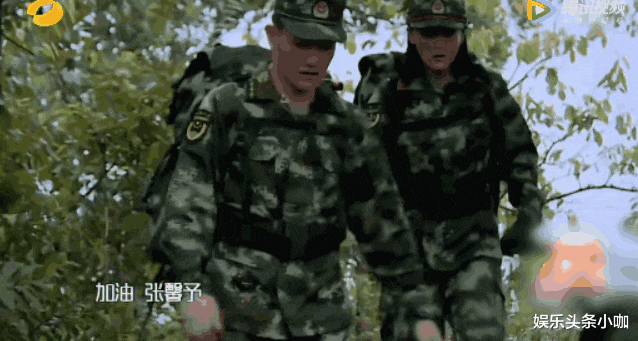 张馨予|恭喜！悄悄怀二胎，半个娱乐圈都不敢惹她？