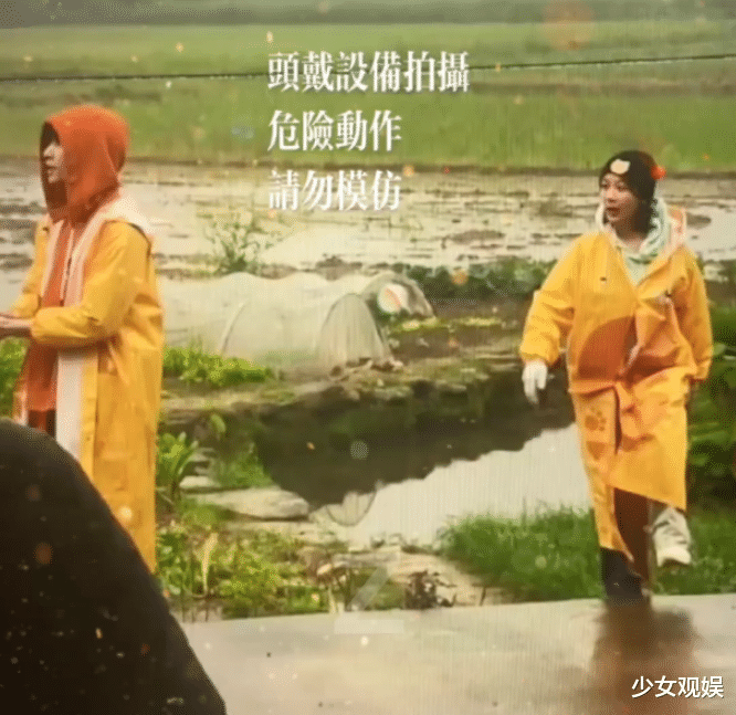 杨紫|澄清恋情后杨紫录综艺，跟张艺兴买菜又插秧，她的表情显二人关系