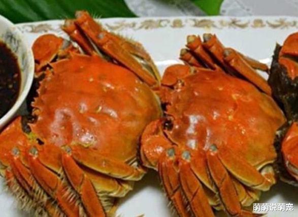 巨蟹座|心理测试：凭直觉选出肉质最鲜美的螃蟹，测你最近最大的好运是什么