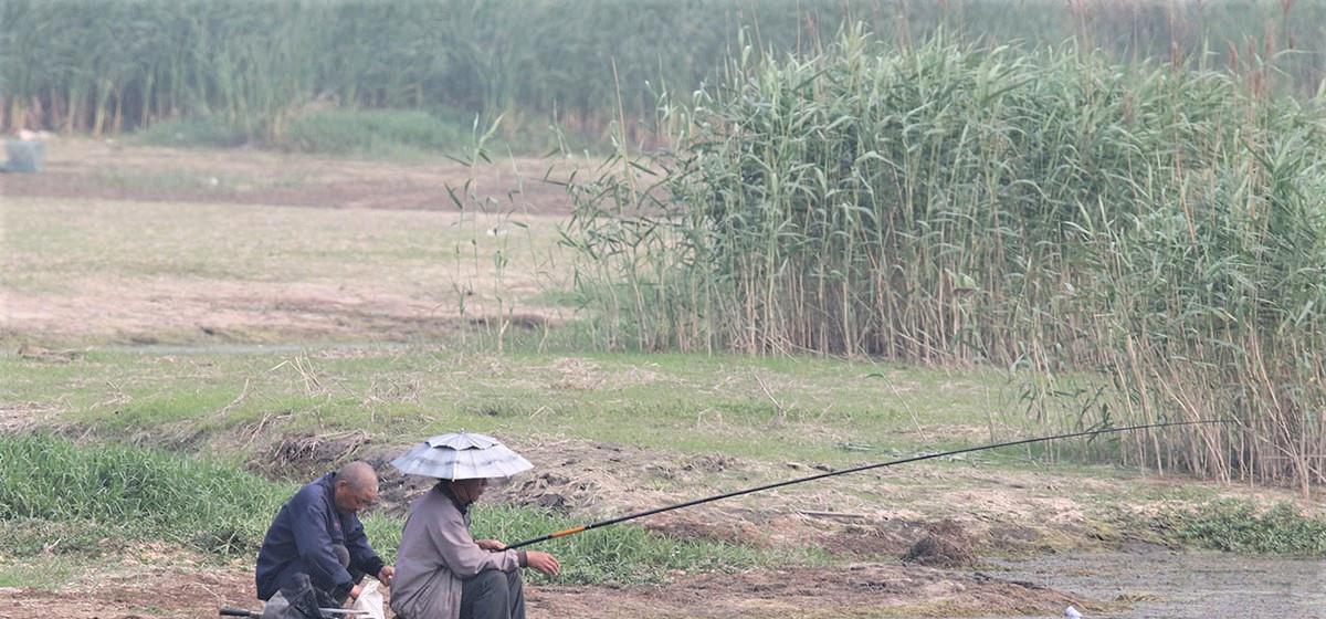 |秋季野钓为何要钓钝？降温后用蚯蚓钓鱼，鱼不开口该怎么办？