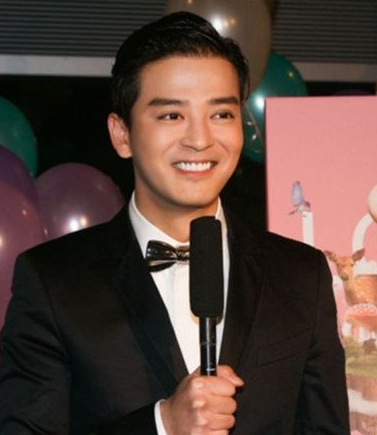 张柏芝|他曾是四大天王接班人，因甩掉张柏芝遭向太封杀，整容后判若两人！