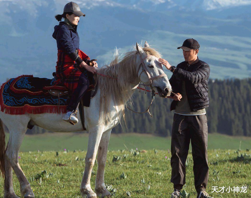 郭柯宇|章贺郭柯宇《再见爱人》：十年婚姻“互相伤害”，观众喊话劝复合