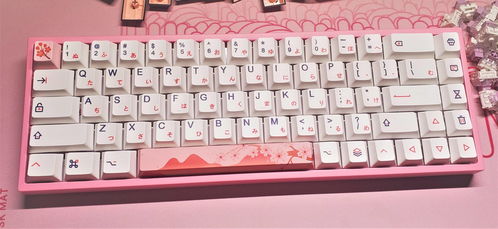 键盘|键盘就是“生活”!我们该如何选择键盘的好用轴型呢?