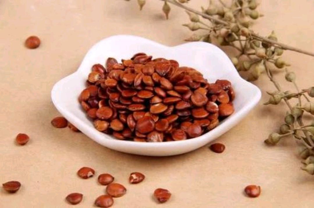 失眠|失眠对身体伤害大,不妨经常用“1物”泡水喝,帮助提升睡眠质量