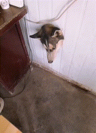 萌控孩|终于嫁给闺蜜的儿子，电视剧都不敢这么演吧？太尴尬哈哈哈