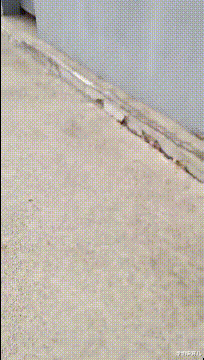 学姐说育儿|“女友在健身房工作，女教练订做的工作服，怪不得一节课800”，哈哈哈哈～