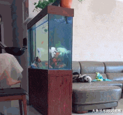 钓鱼执法|“还想钓鱼执法我？”看一看外卖小哥的搞笑日常