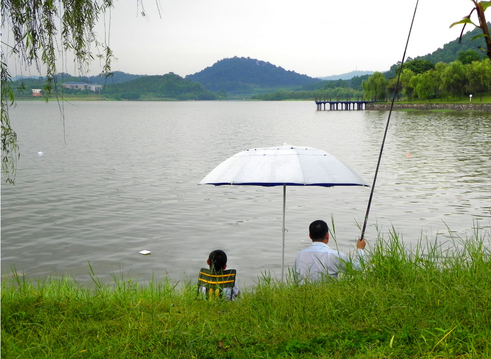 民警|仲春一到,鲫鱼反而不好钓?老司机说出了其中的奥妙:不该钓底