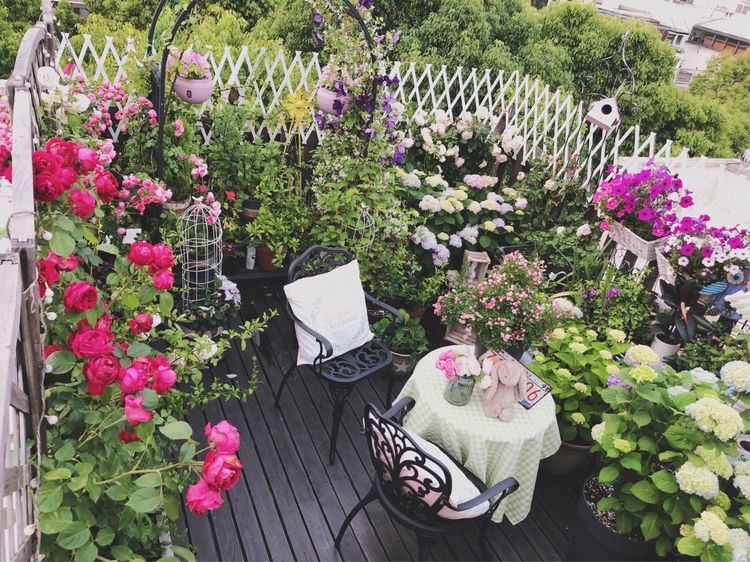 花一年多时间，改造16㎡屋顶露台，荒废屋顶变身“空中小花园”