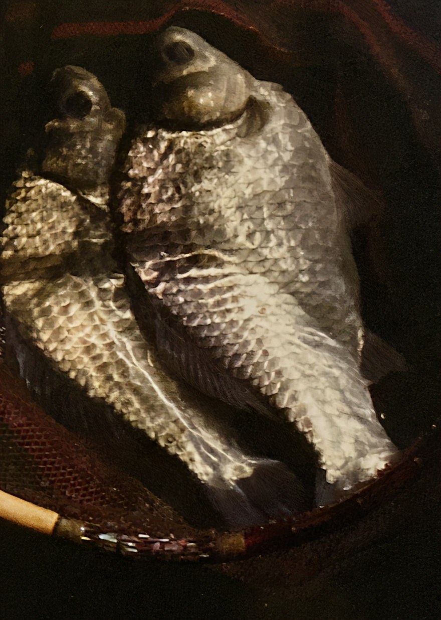 水库|[ 鲫鱼钓 ] 初学者请从鱼塘开始，日本专业钓鲫鱼书籍