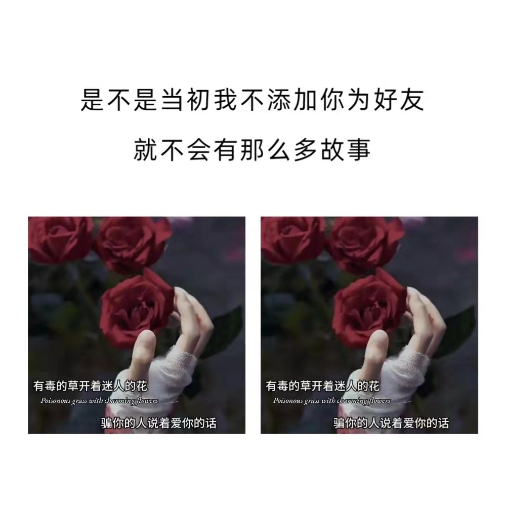 墨陌文案馆|写给太重感情的人