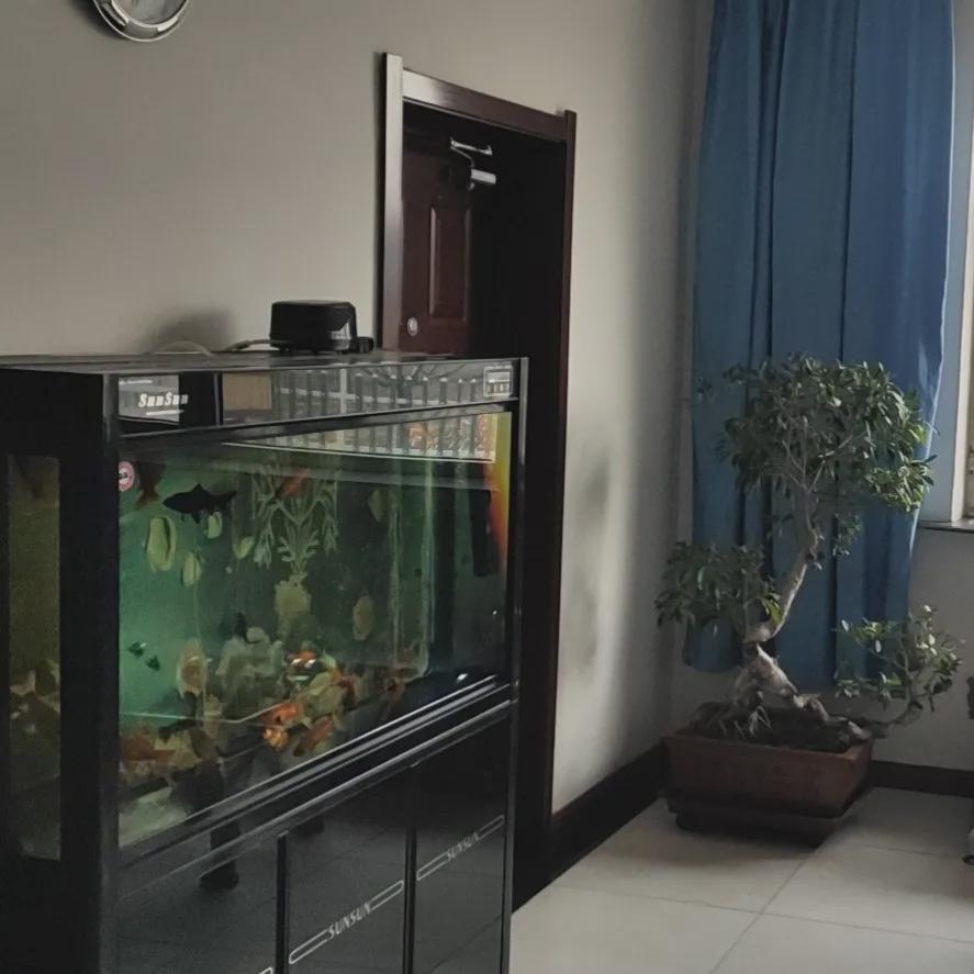 长春妇联 【共建美丽家园 喜迎建党百年】看看这些公主岭的“示范户”，我慕了！