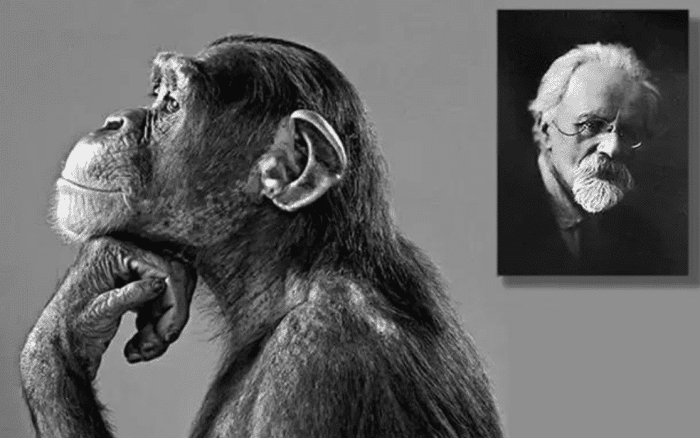 科学家 苏联开展“人猿杂交”实验，5位女性参与，最终结局如何收场？