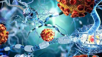 新冠病毒 一周变异一次，关于新冠病毒，最新科学研究有哪些？