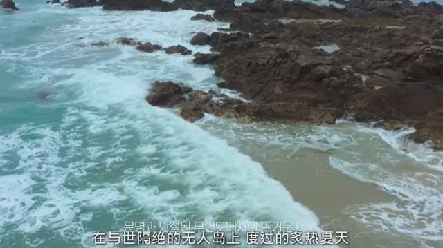 美丽|一夜之间全网爆红，她凭什么？