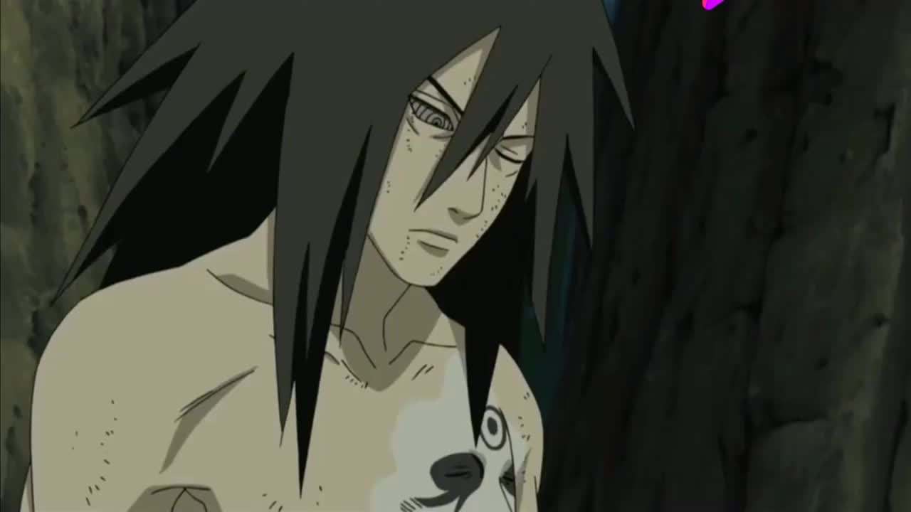 沙鲁|《火影忍者》初代火影细胞到底有多强，连宇智波斑都要移植？