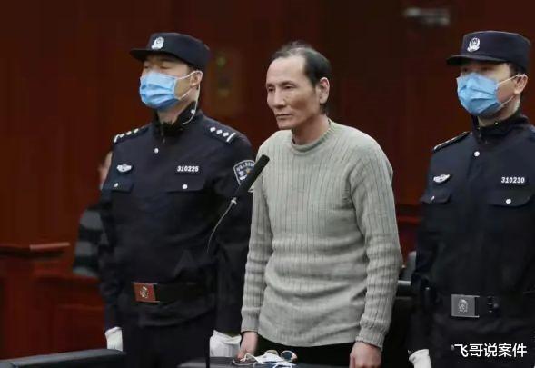谭明明 上海金沙江路车祸5死7伤,凶手陈立伟判死刑,但为何谭明明却没判死?