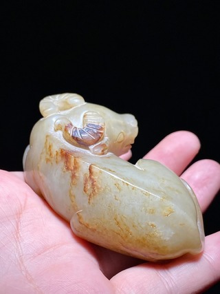 和田玉籽料|明 和田玉籽料 玉牛 卧牛 摆件 纸镇 把件