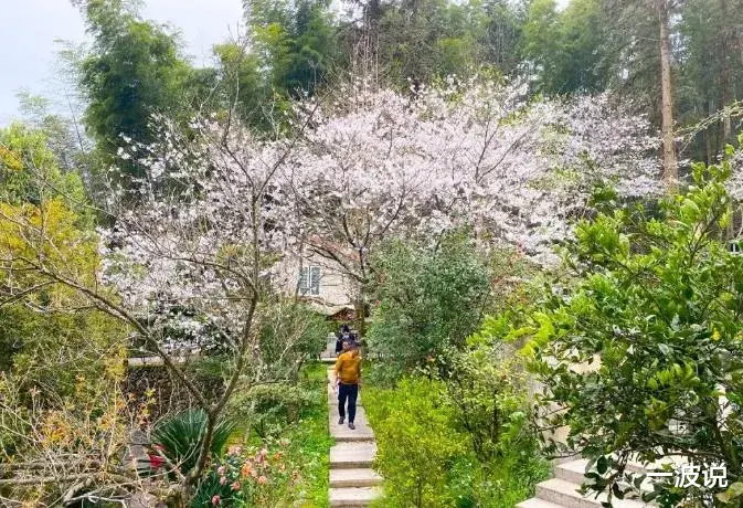 风华高科|涉案5.3亿元，女装品牌拉夏贝尔被3家浙江债权人申请破产清算