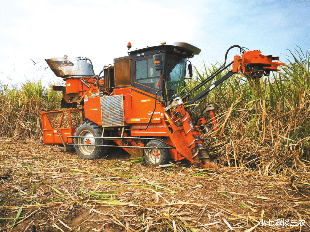 小七趣谈三农 五一假期！农村这4样八成要涨价，农民朋友要勒紧裤腰带了？