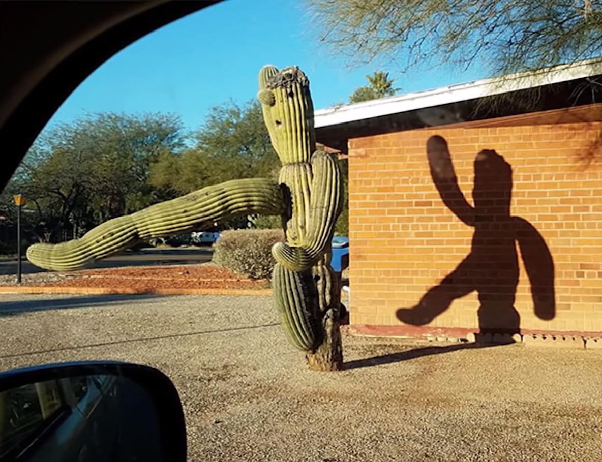 海之归墟|32张不可思议的照片,证明影子也会“骗人”