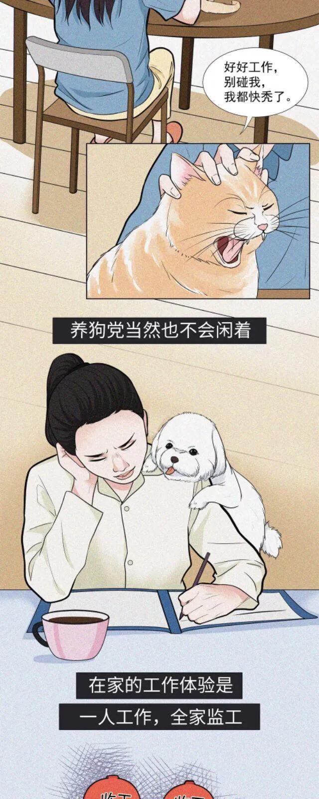|漫画：在家办公，让我认识到了真实的自己