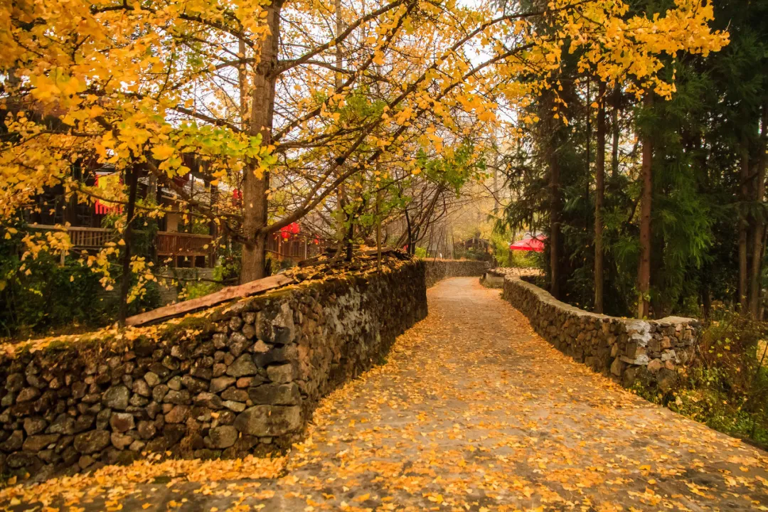 儿童摄影|太美了！10个愈秋愈美的小众旅行地，错过只能再等一年！