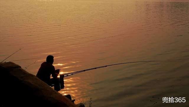 广东省|鱼没钓到收获一只怪鸟,广东男子的意外经历,掏出打火机就开始烧