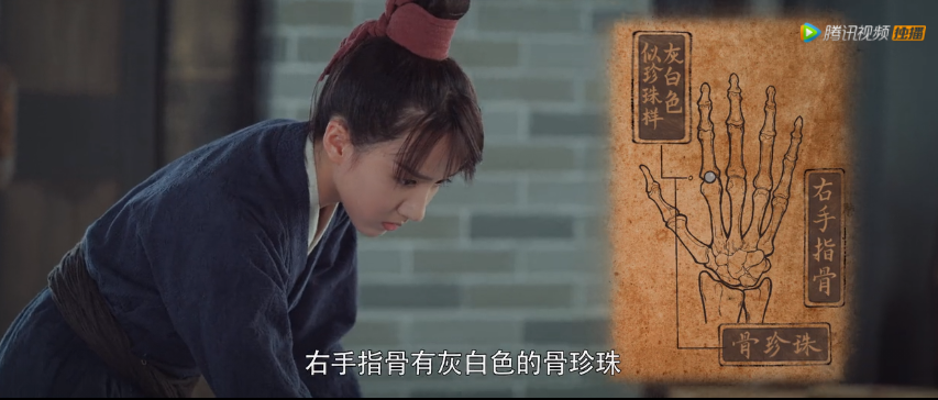 陈芊芊|继《陈芊芊》之后，又一部高段位甜宠剧蹿红，男主比韩烁还自恋