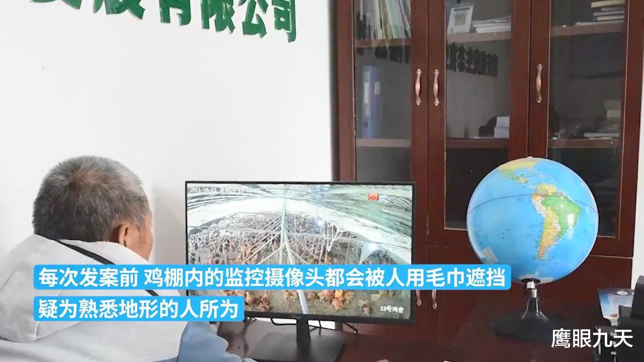 塑料兄弟情!男子分6次偷走朋友200多只鸡,平时赊账借钱算啥?