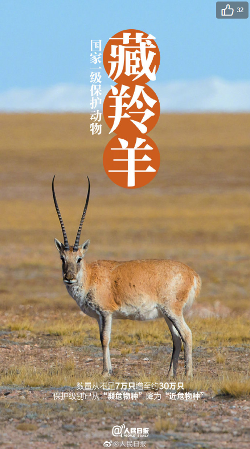 树艺蛙APP|喜提降级 | 保护野生动物离我们并不遥远