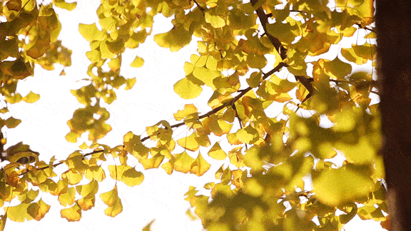 遵循科学依据，学会这样“贴秋膘”，增加身体散热，增强愉悦感！