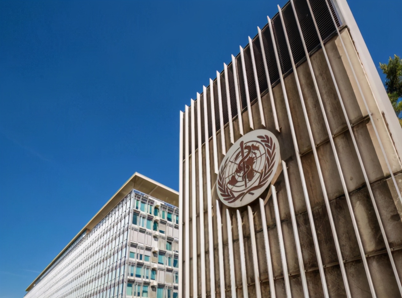 白鲸新视点 没得到想要的答案，美联合13国施压，要求我国接受第二阶段调查