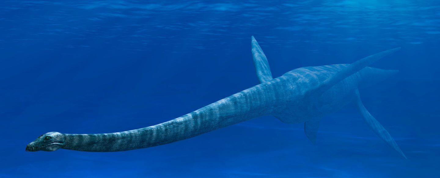 霸王龙|盘点四大史前海洋巨兽,一口秒掉霸王龙,差点成为地球的主宰!