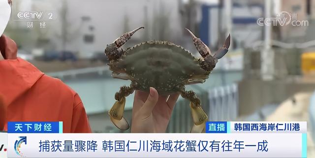 长春晚报 一公斤近300元，创历史最高价