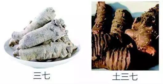 健康缘来很简单|三七粉好处多，但有一类人别吃！