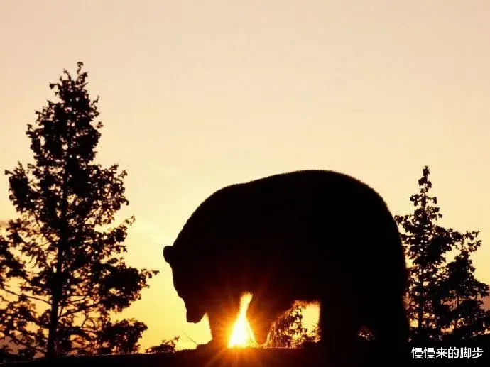 张天爱|停止内耗，从你的“内心戏”里解脱出来