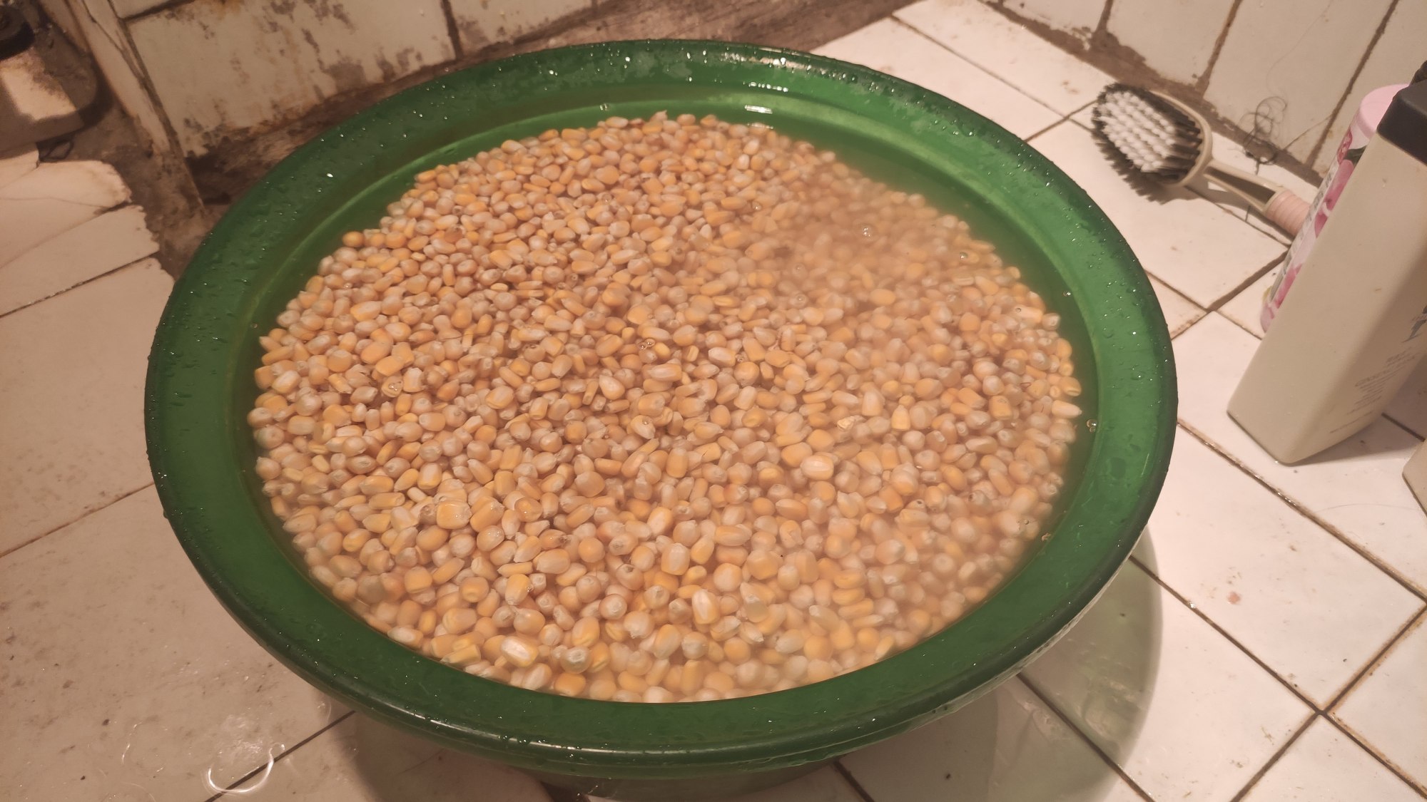 |钓鱼就是“战争”，钓鲤鱼要防守，钓草鱼需进攻，好多人都弄错了