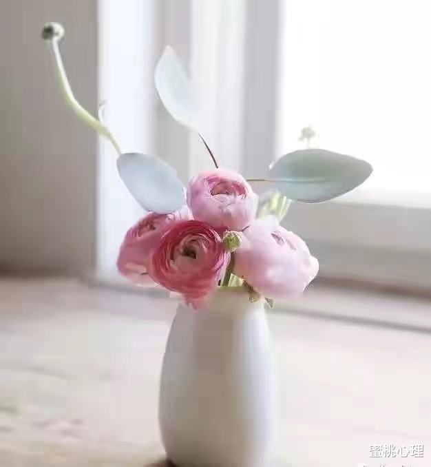 蜜桃心理|心理学:坚持做这4件事,你的人生会越来越好