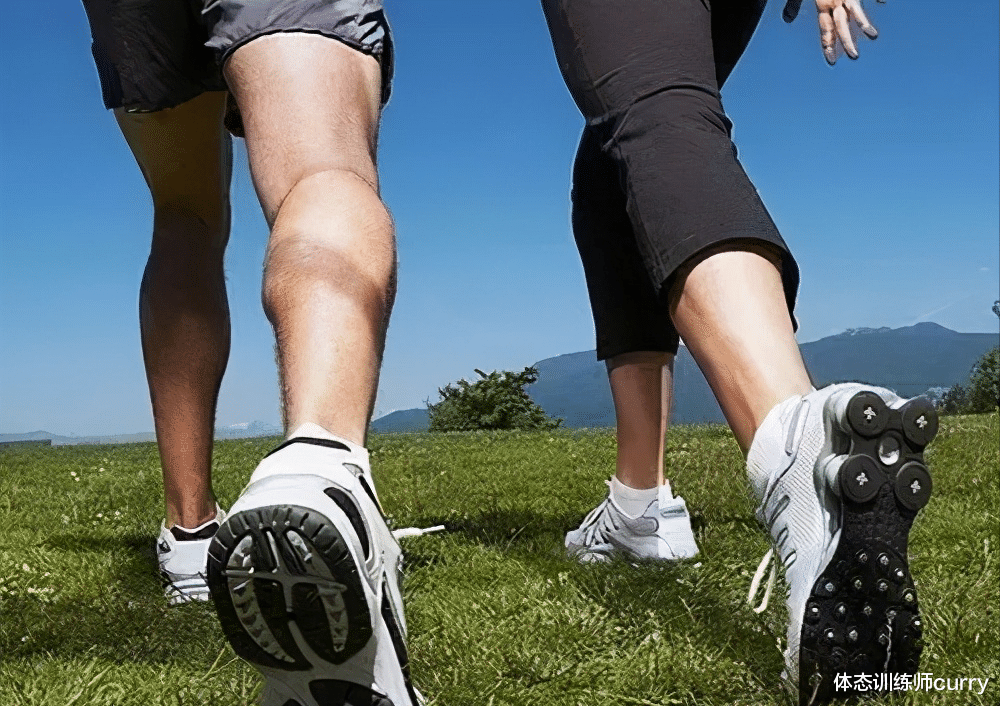 有氧运动|散步——是一个最被低估，但是十分有效的有氧运动