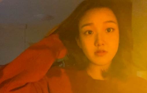 李静|李静18岁女儿颜值惊艳！轻松进纽约大学成学霸，久居国外生活惬意