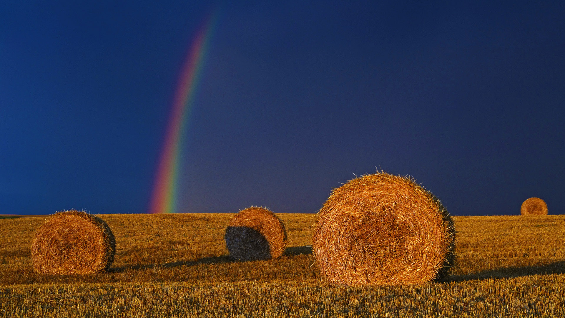 天蝎座|擅长伪装，故作可怜的三个星座，表面无辜的他们，却很阴险