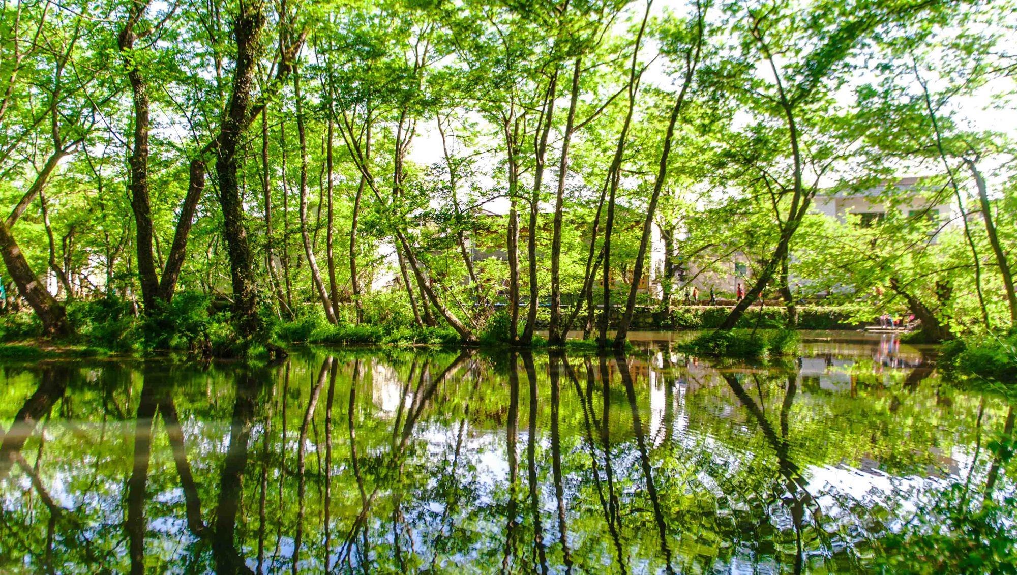 奶球妈咪聊|安徽的世外桃源,被誉为现实版绿野仙踪,是一片无污染的绝美净土